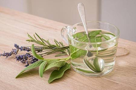 Rosmarin, Lavendel und Salbei lassen sich für frische Tees verwenden. Foto: Christin Klose/dpa-tmn