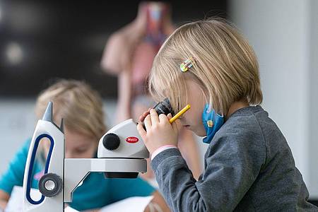 Schon von der Kita und Grundschule an sollen Kinder für MINT-Fächer begeistert werden, fordert der Unternehmer-Verband NRW vor.