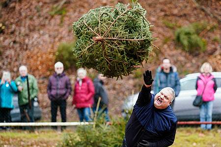 Bäume können nicht fliegen? Doch. Ein Teilnehmer wirft auf dem Gelände des Fußballclubs Wacker in Rheinland-Pfalz eine Fichte.