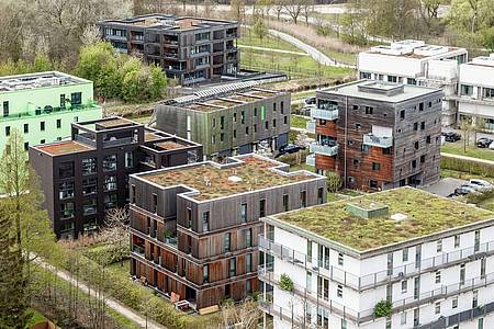 Gründächer auf Neubauten im Hamburger Stadtteil Wilhelmsburg.