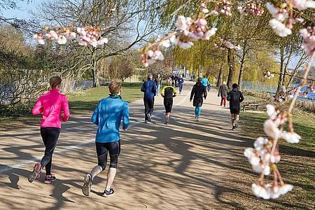 Heuschnupfen kann einem die Freude an der Joggingrunde ordentlich vermiesen. Bei starkem Pollenflug weicht man besser auf das Laufband im Fitnessstudio aus.