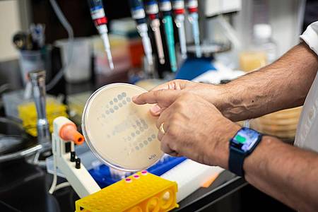 Das Labor von Graham Hatfull an der Universität Pittsburgh stellt bakterientötende Viren Patienten zur Verfügung, die keine anderen Möglichkeiten zur Behandlung resistenter Infektionen haben.