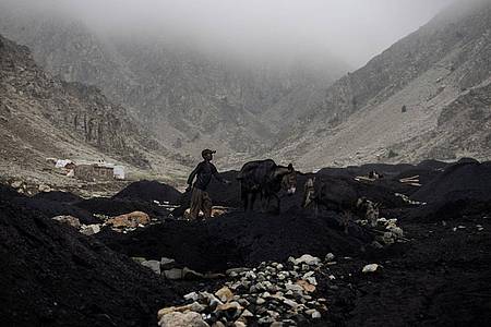 Ein Junge führt einen mit Kohle beladenen Esel von einer informellen Kohlemine zu einer Sammelstelle am Fuße des Berges.