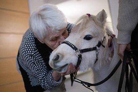 Der Besuch der Ponys im Altenheim bringt Abwechslung für die Bewohnerinnen und Bewohner.