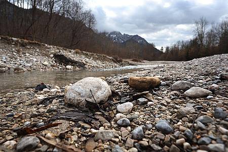 Nur wenig Wasser führt der Gebirgsbach Pöllat in den Alpen. Angesichts der vielfach geringen Schneedecke und des regenarmen Februars droht laut Experten bald massive Trockenheit.