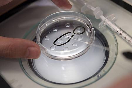 Eine Biologin in einer Kinderwunschpraxis präpariert Eizellen.