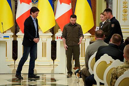 Ukraines Präsident Wolodymyr Selenskyj (M) und sein kanadischer Kollege und Justin Trudeau (l) nehmen an einer Preisverleihung für Hund Patron teil.