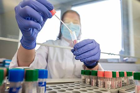 Eine Mitarbeiterin im Medizinischen Labor Ostsachsen wertet PCR-Tests aus.