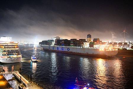 Chinesische Investitionen wie hier beim Container-Terminal Tollerort in Hamburg werden zunehmend kritisch gesehen.