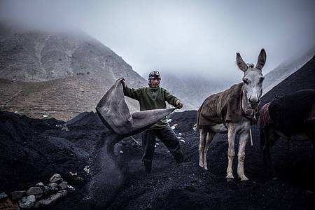 Ein Bergarbeiter entlädt einen mit Kohle beladenen Esel.
