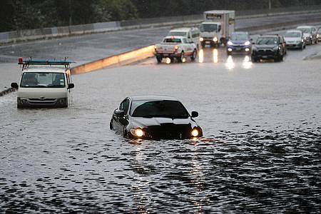 Fahrzeuge im Hochwasser einer überschwemmten Straße in Auckland.