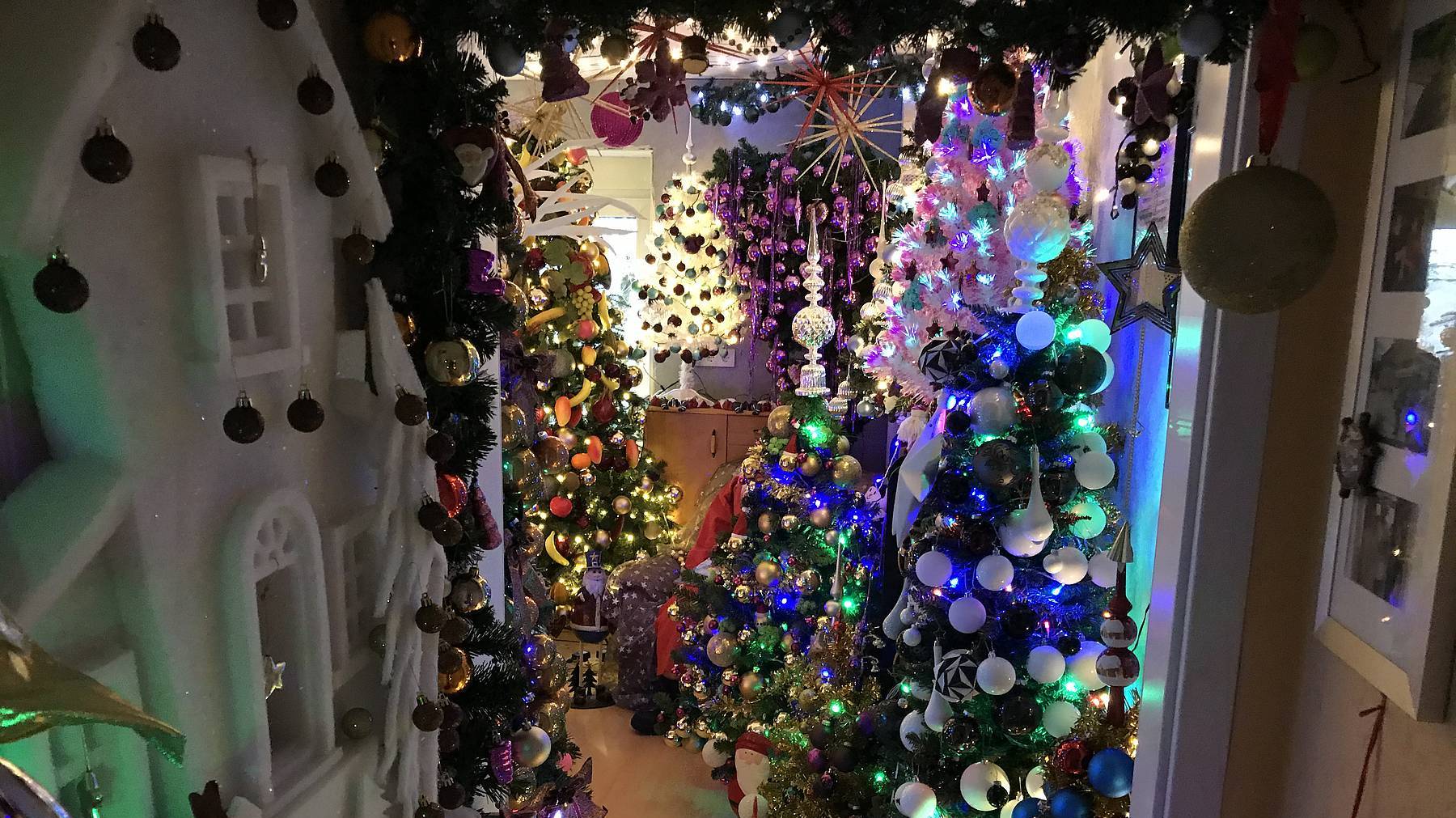weihnachtsbaumsammler