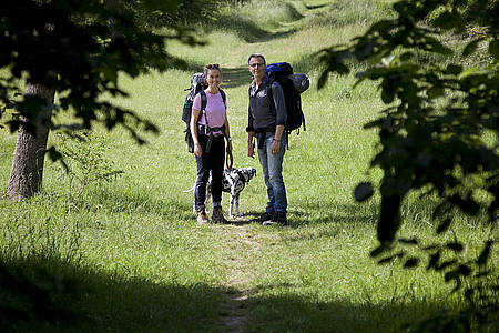 Wanderbar Podcast Cover - Jule, Markus und Dalmatinerdame Lily auf einem Wald-Wanderweg