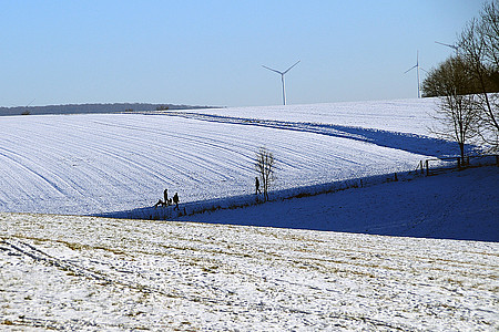 schneebedecktes Feld