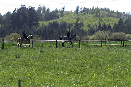 Zwei Frauen auf zwei Pferden reiten an einem Zaun auf einer grünen Wiese entlang